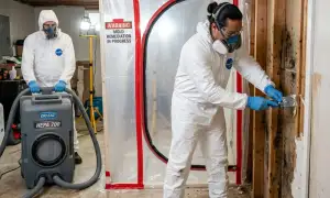 Mold remediation service widget for water damage restoration in Fort Worth, TX